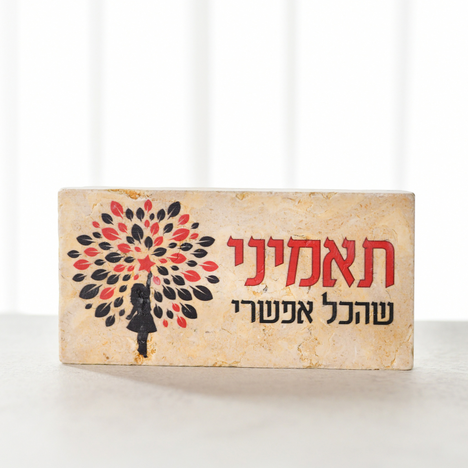 אריח 20/10 תאמיני שהכל אפשרי