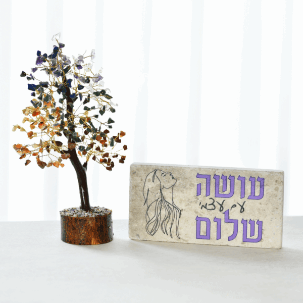 מארז 7 הצ'אקרות ואריח אבן עושה עם עצמי שלום 20/10 ס"מ