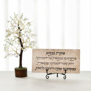 מארז עץ קריסטלים פלורייט עם אריח אבן - אתה נמצא במקום בו נמצאות מחשבותיך - 20/10 ס"מ