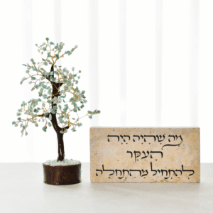 עץ אמזונייט ואריח מה שהיה היה
