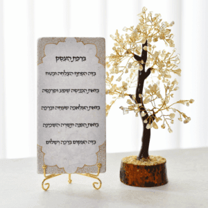 מארז עץ קריסטלים סיטרין - ואריח אבן ברכת העסק - 10/20 ס"מ