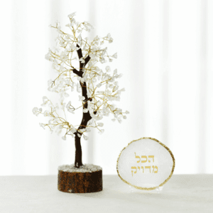 מארז עץ קריסטלים קוורץ - ואקריל מעוצב "הכל מדוייק"