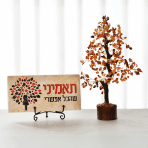 מארז עץ קריסטלים קרנליאן עם אריח אבן - תאמיני שהכל אפשרי - 20/10 ס"מ