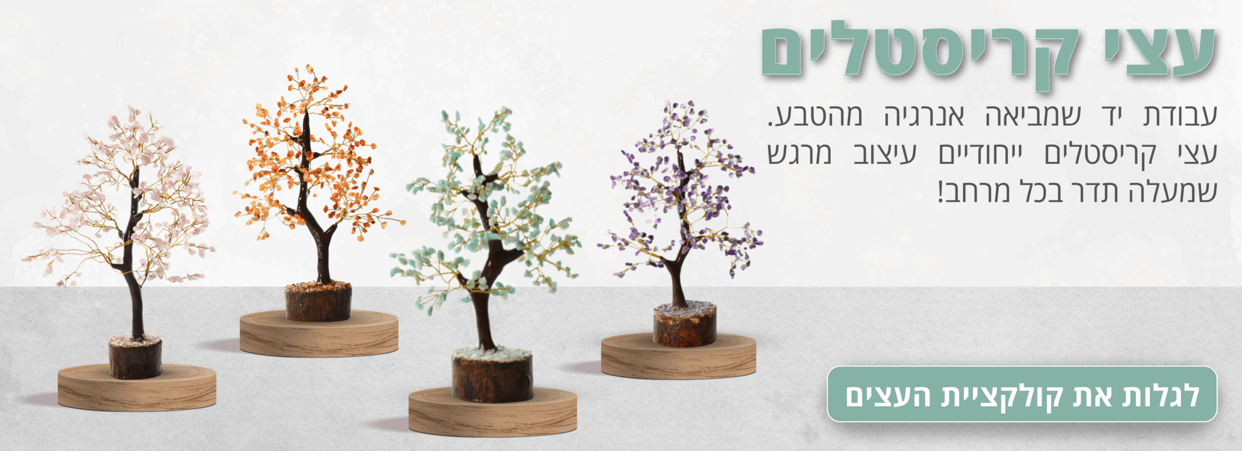 Lital malka shimoni