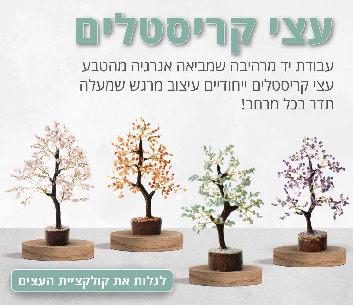Lital malka shimoni